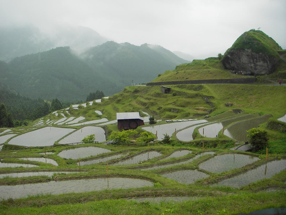 Kumano Backpackers Hostel ทานาเบะ ภายนอก รูปภาพ