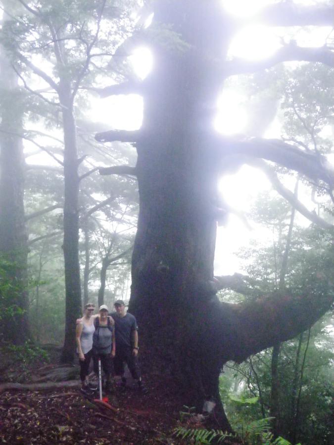 Kumano Backpackers Hostel ทานาเบะ ภายนอก รูปภาพ